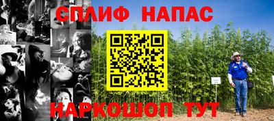соль ск Славгород