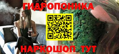 соль ск Славгород