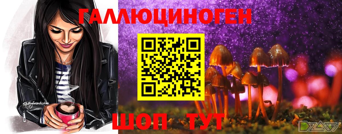 Псилоцибиновые грибы Cubensis Саяногорск