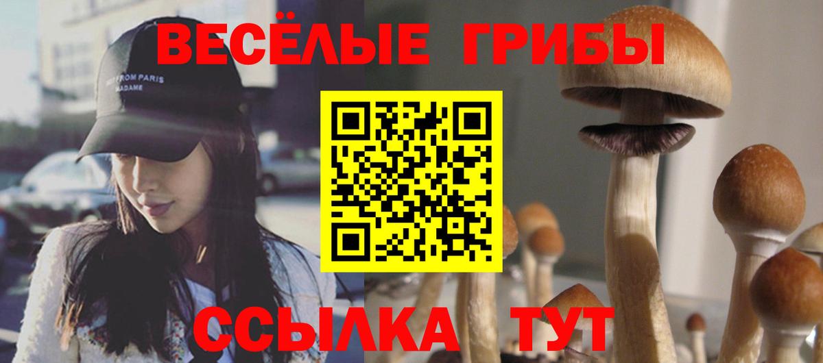 Саяногорск  Псилоцибиновые грибы мицелий  Вход с VPN 